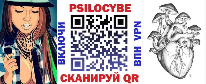 хочу наркоту  Мураши  kraken маркетплейс  Галлюциногенные грибы Psilocybe 